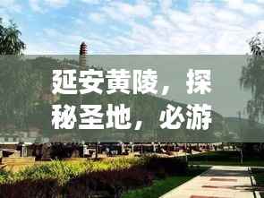 死得其所 第3页