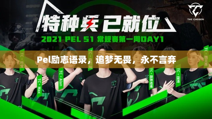 量入为出 第3页