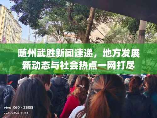 随州武胜新闻速递，地方发展新动态与社会热点一网打尽