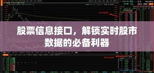 股票信息接口,解锁实时股市数据的必备利器
