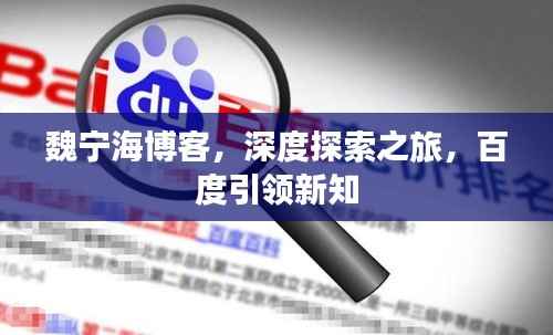 魏宁海博客，深度探索之旅，百度引领新知