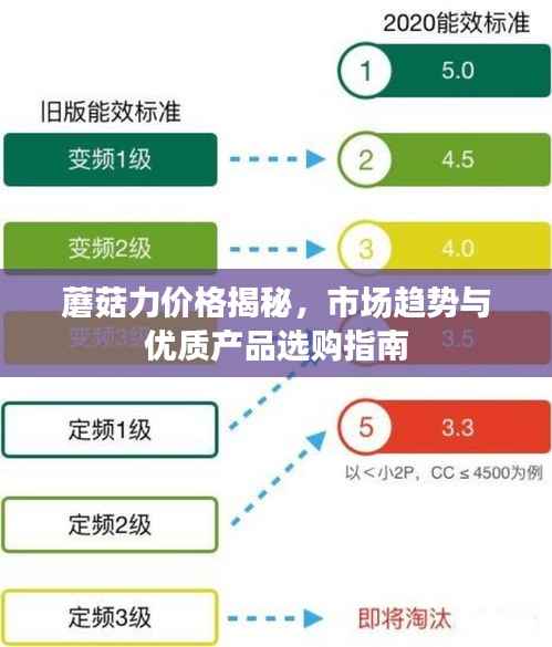 蘑菇力价格揭秘，市场趋势与优质产品选购指南