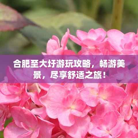 合肥至大圩游玩攻略，畅游美景，尽享舒适之旅！